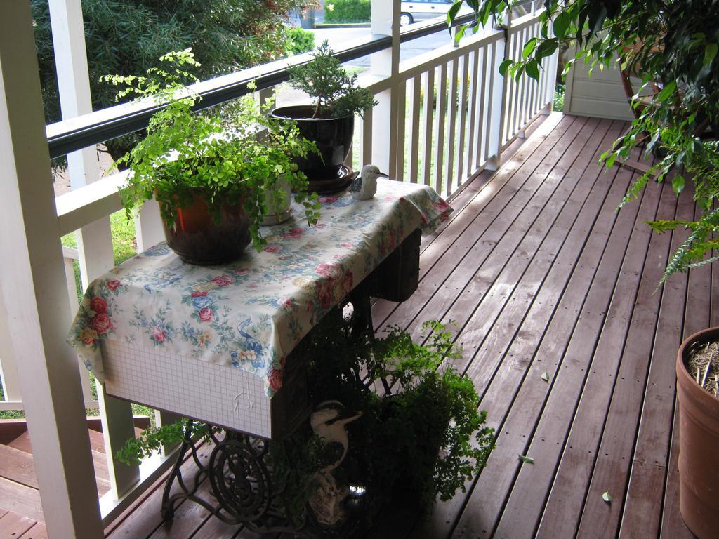 Newcastle'S Bed & Breakfast 外观 照片